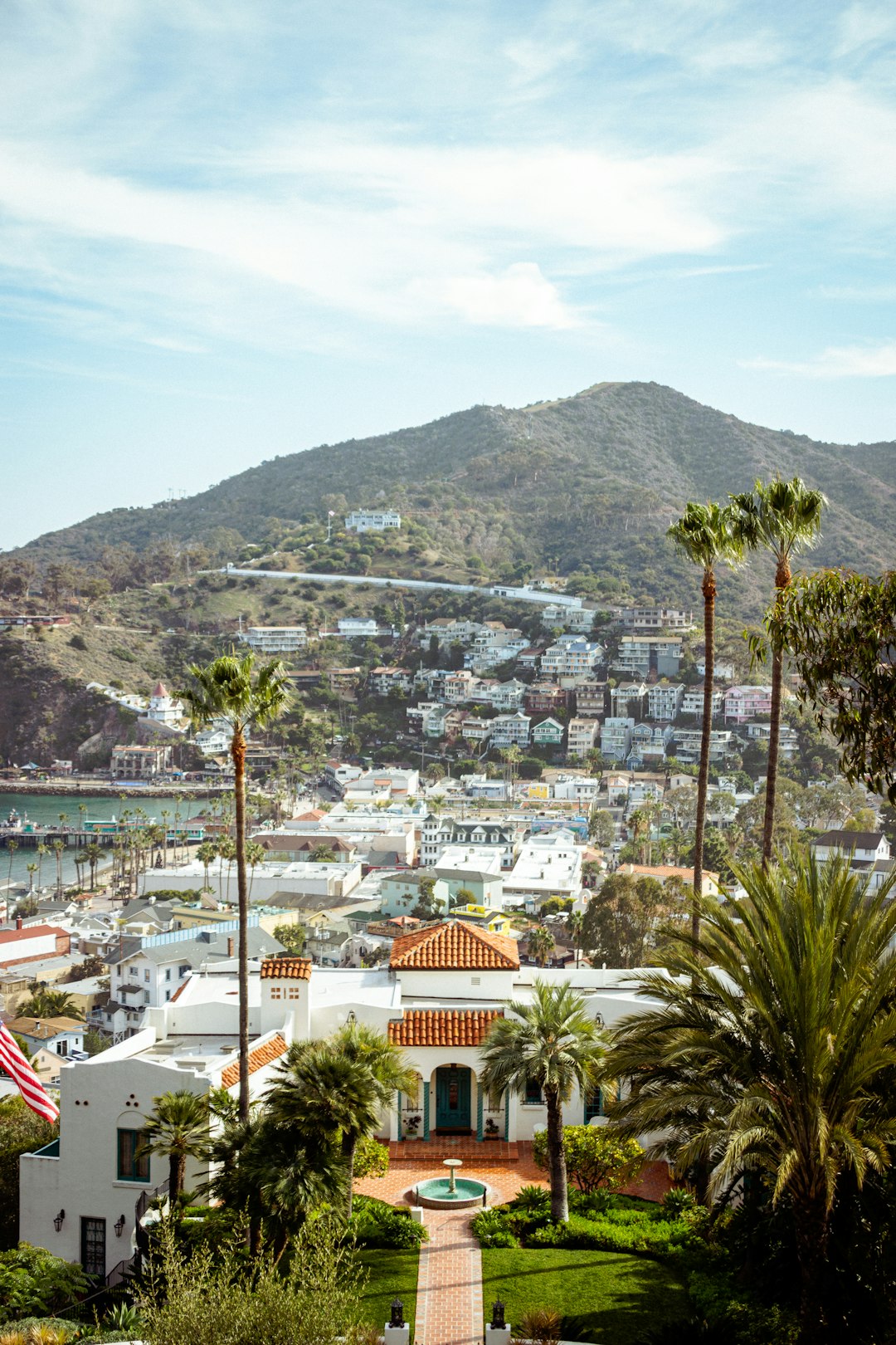 overlooking the city